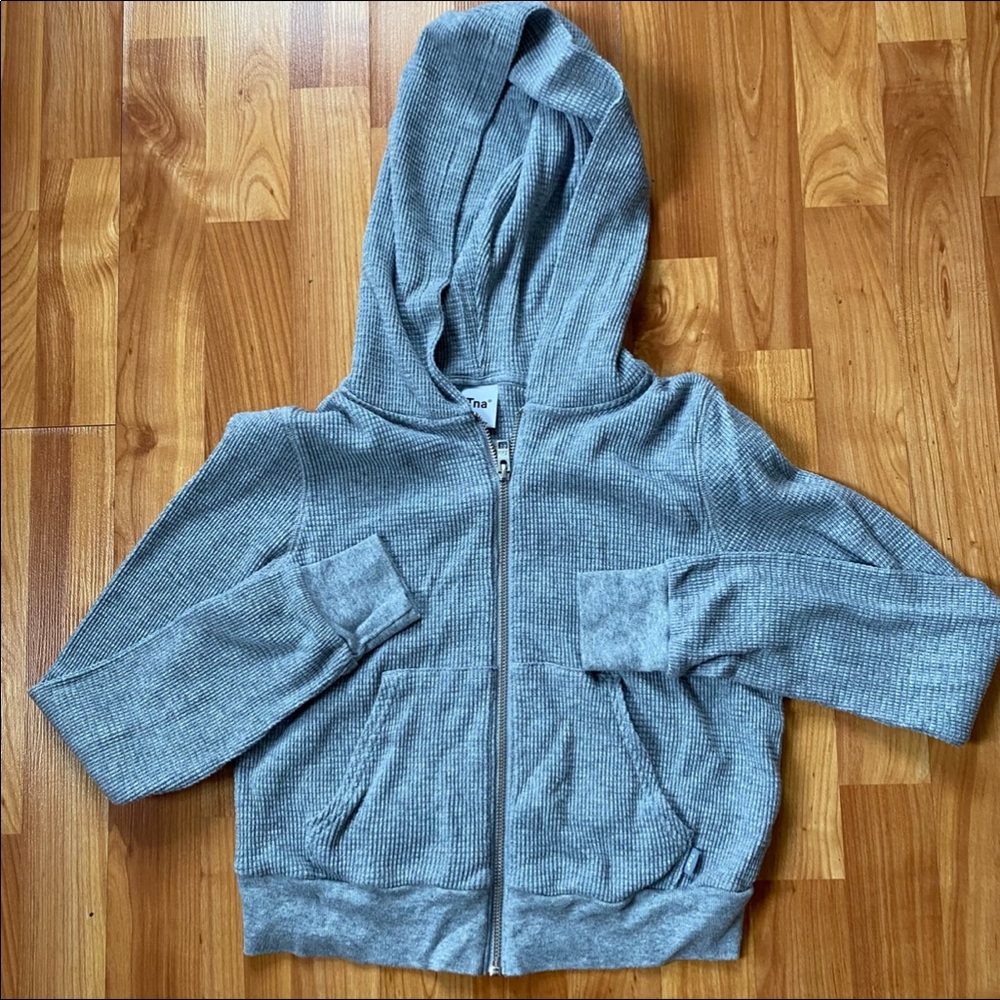 Aritzia TNA hoodie